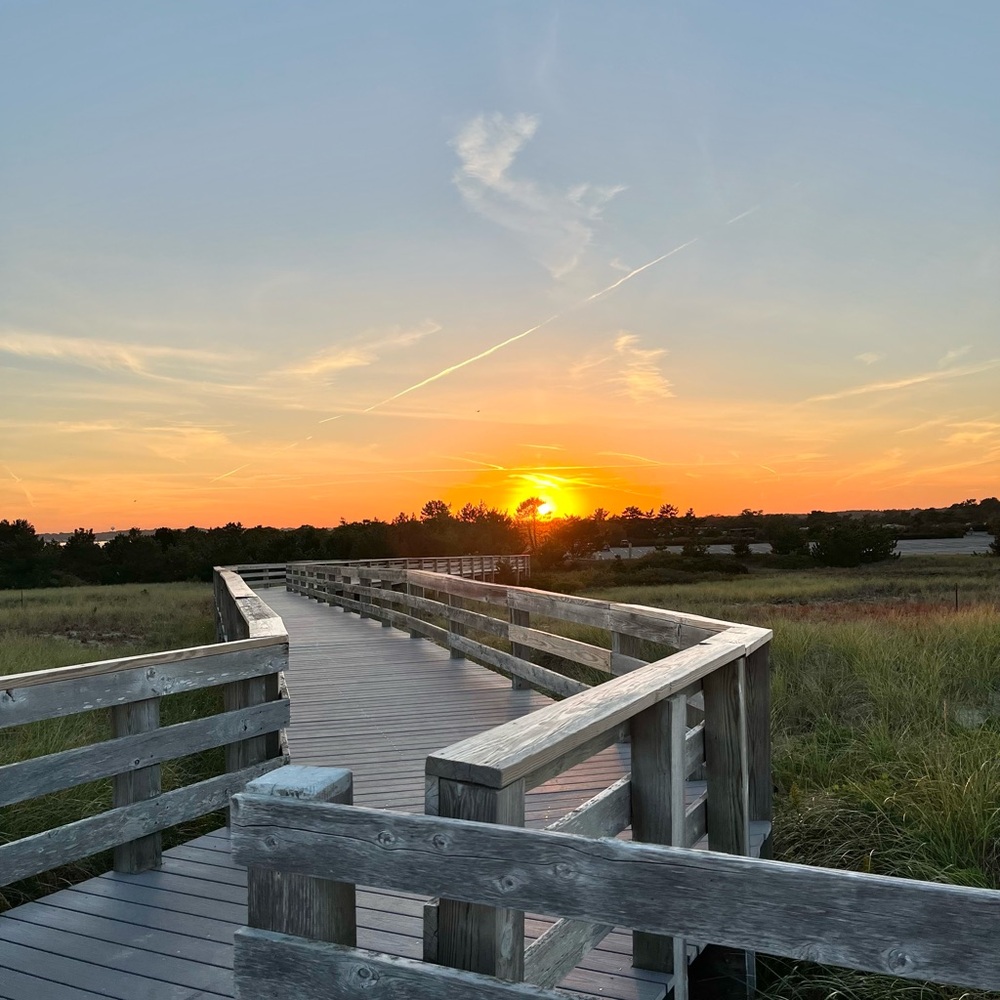 Meet your Posher, Adrianne